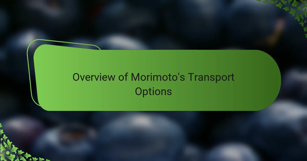 Overview of Morimoto's Transport Options